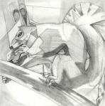 Douglas Squirrel, 8.5 x 11", graphite on paper.