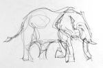 Elephant (gesture drawing), 8.5 x 11", graphite on paper.